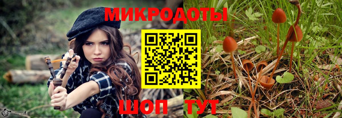 Галлюциногенные грибы MAGIC MUSHROOMS Можайск