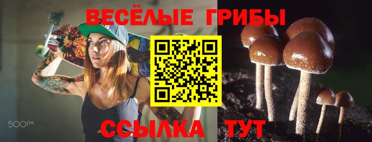 Галлюциногенные грибы ЛСД  хочу   Можайск  Псилоцибиновые грибы Psilocybe  Вход с VPN 